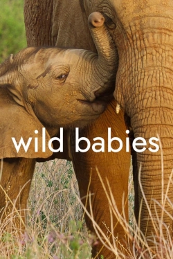 Watch free Wild Babies movies Hd online