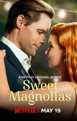 Watch free Sweet Magnolias movies Hd online