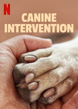 Watch free Canine Intervention movies Hd online