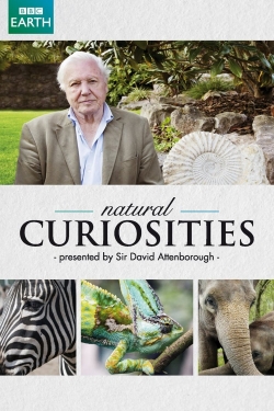 Watch free David Attenborough's Natural Curiosities movies Hd online