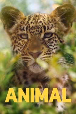 Watch free Animal movies Hd online