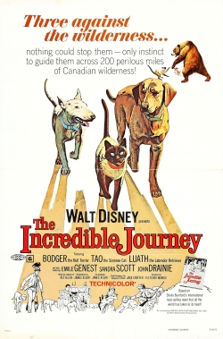 Watch free The Incredible Journey movies Hd online