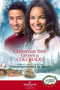 Watch free A Christmas Tree Grows in Colorado movies Hd online