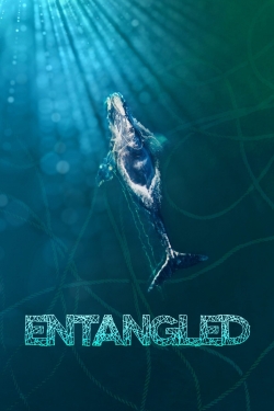 Watch free Entangled: The Race to Save Right Whales from Extinction movies Hd online