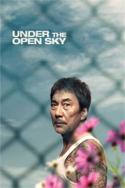 Watch free Under the Open Sky movies Hd online