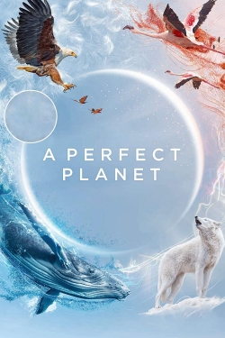 Watch free A Perfect Planet movies Hd online