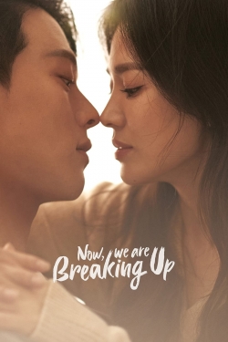 Watch free Now, We Are Breaking Up movies Hd online