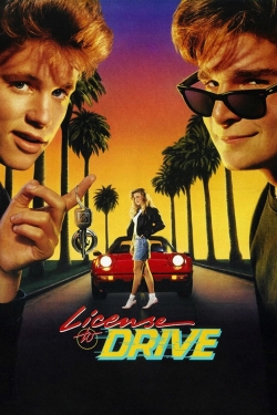 Watch free License to Drive movies Hd online