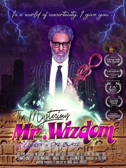 Watch free The Mysterious Mr. Wizdom movies Hd online