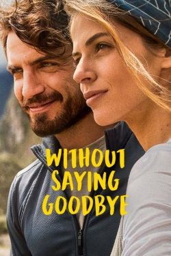 Watch free Without Saying Goodbye movies Hd online