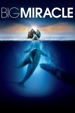 Watch free Big Miracle movies Hd online