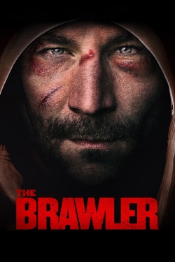 Watch free The Brawler movies Hd online