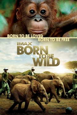 Watch free Born to Be Wild movies Hd online