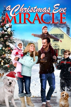 Watch free A Christmas Eve Miracle movies Hd online