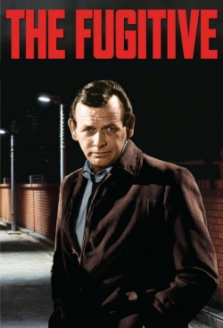 Watch free The Fugitive movies Hd online