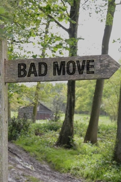 Watch free Bad Move movies Hd online