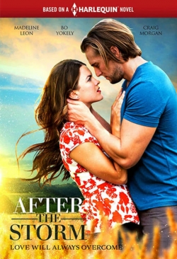 Watch free After the Storm movies Hd online