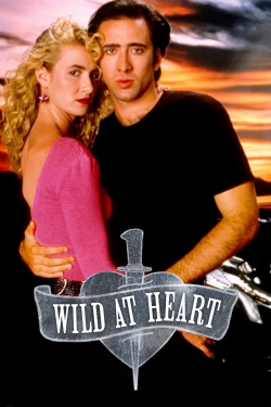 Watch free Wild at Heart movies Hd online