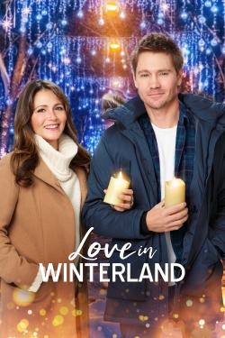 Watch free Love in Winterland movies Hd online