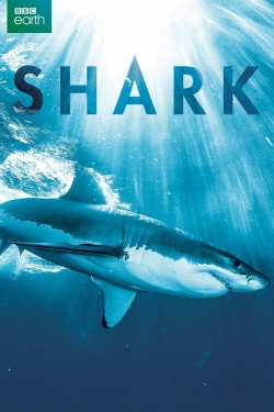 Watch free Shark movies Hd online