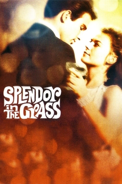 Watch free Splendor in the Grass movies Hd online