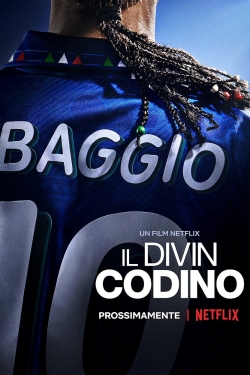 Watch free Baggio: The Divine Ponytail movies Hd online