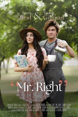 Watch free Mr. Right movies Hd online