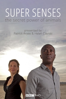 Watch free Super Senses: The Secret Power of Animals movies Hd online