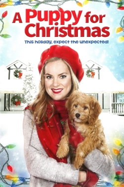 Watch free A Puppy for Christmas movies Hd online