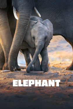 Watch free Elephant movies Hd online