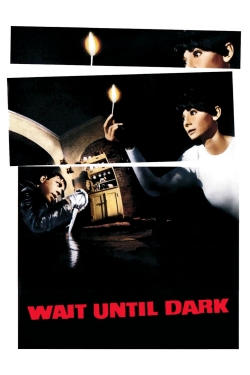 Watch free Wait Until Dark movies Hd online