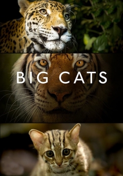 Watch free Big Cats movies Hd online