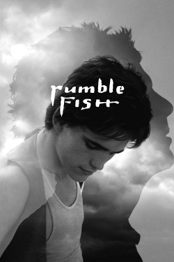 Watch free Rumble Fish movies Hd online