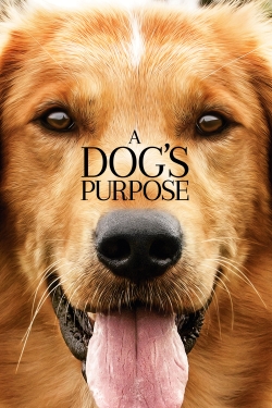 Watch free A Dog's Purpose movies Hd online