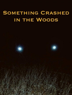 Watch free Something Crashed in the Woods movies Hd online