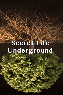 Watch free Secret Life Underground movies Hd online