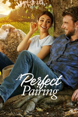 Watch free A Perfect Pairing movies Hd online