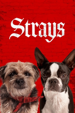 Watch free Strays movies Hd online