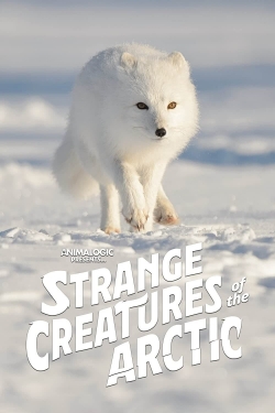 Watch free Strange Creatures of the Arctic movies Hd online