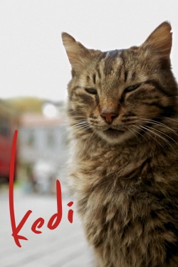 Watch free Kedi movies Hd online