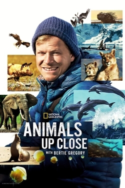 Watch free Animals Up Close with Bertie Gregory movies Hd online