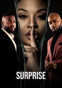 Watch free Surprise movies Hd online