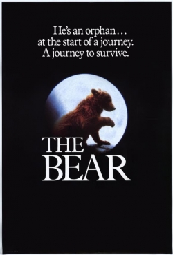 Watch free The Bear movies Hd online