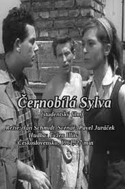 Watch free Black and White Sylva movies Hd online