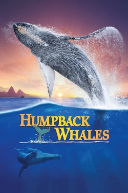 Watch free Humpback Whales movies Hd online