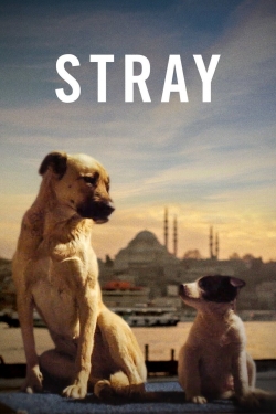 Watch free Stray movies Hd online