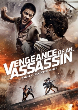 Watch free Vengeance of an Assassin movies Hd online