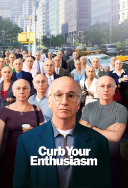 Watch free Larry David: Curb Your Enthusiasm movies Hd online