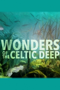 Watch free Wonders of the Celtic Deep movies Hd online