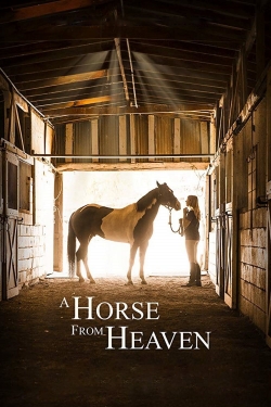 Watch free A Horse from Heaven movies Hd online